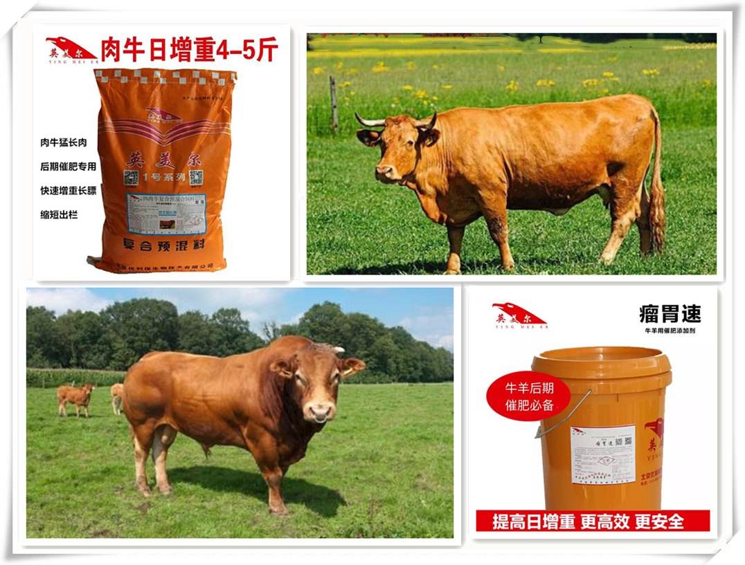 4、中国最好的牛羊饲料是哪家