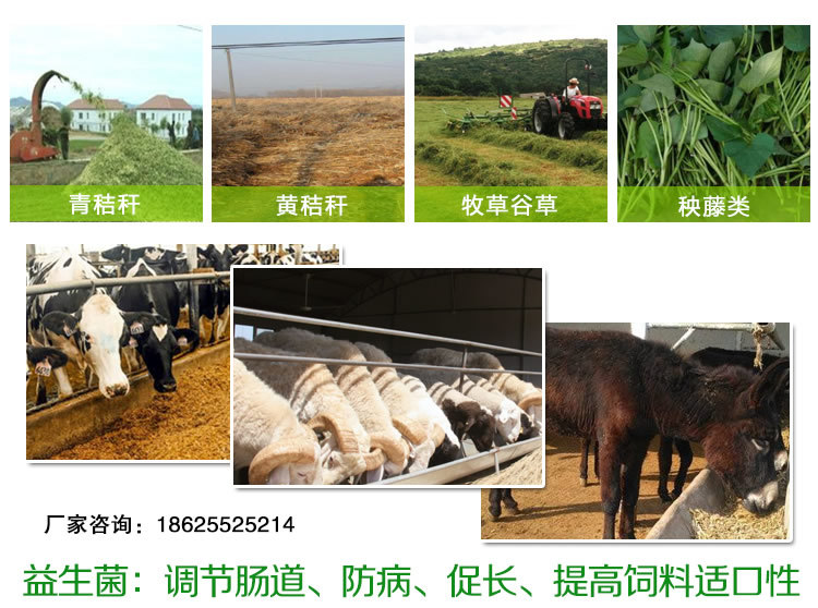 4、中国十大名牌牛饲料