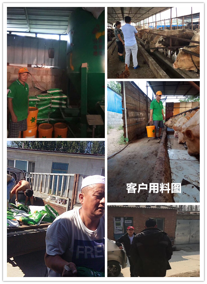 1、 大约公斤牛的育肥方法?如何混合饲料。喂多少干草和喂多少精料。你用什么喂浓缩物?
