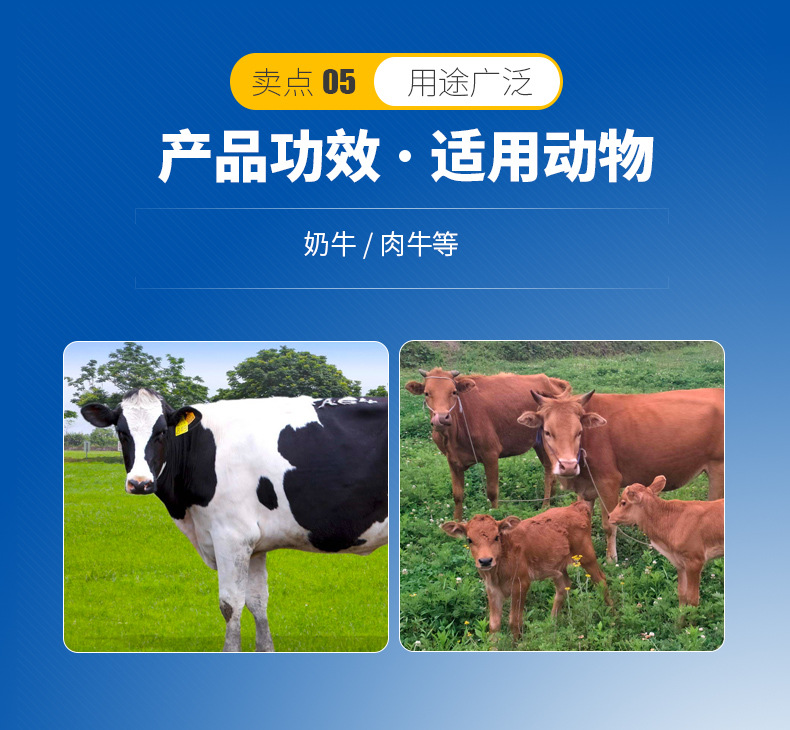 3、奶牛用青贮饲料生产的关键，奶牛用青贮饲料如何制作？ 
