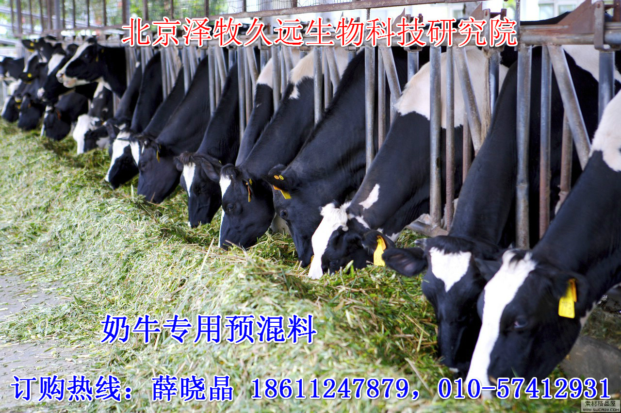 2、奶牛饲料厂有哪些?